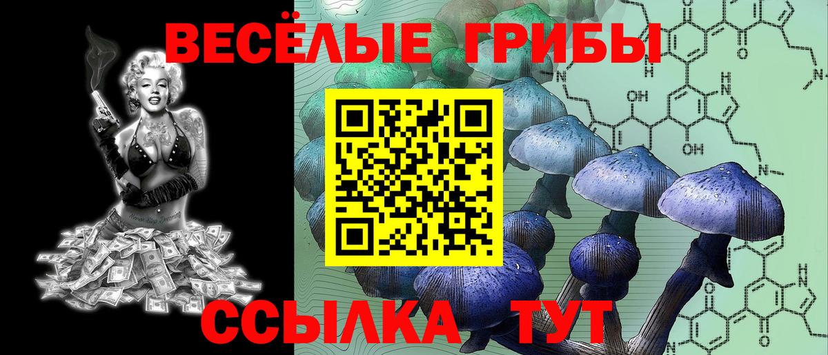 Псилоцибиновые грибы мицелий  Вход с VPN  Псилоцибиновые грибы Cubensis  Саранск 